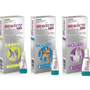 black hawk large breed dog food