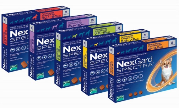Nexgard Spectra for Dogs – 3 Pack